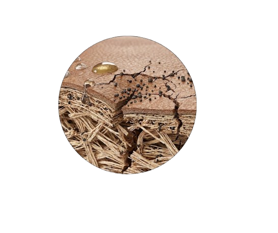 Close-up of cracked, dry soil surface with small black seeds and water droplets on top.